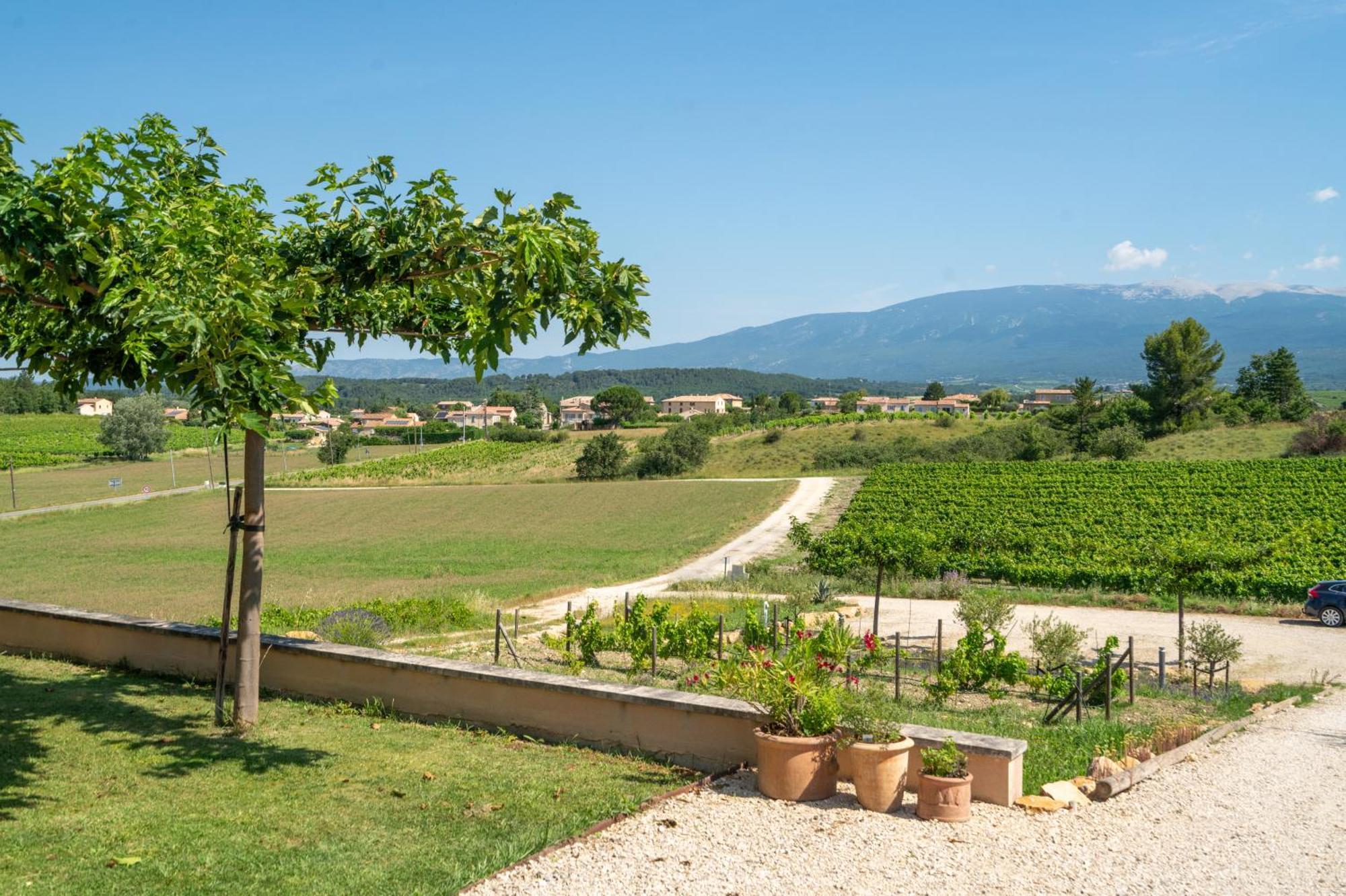Les Terrasses De Cascavelle Villa Blauvac Exteriör bild